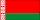 belarus flag